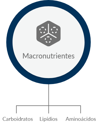 Formulação macronutrientes